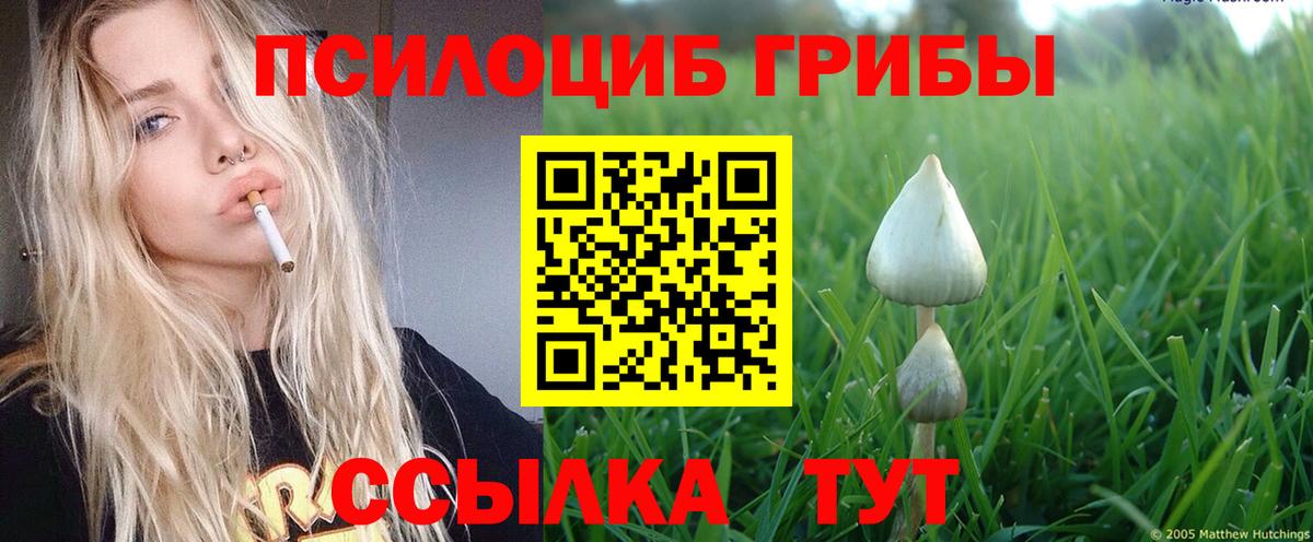 Псилоцибиновые грибы мухоморы Обь